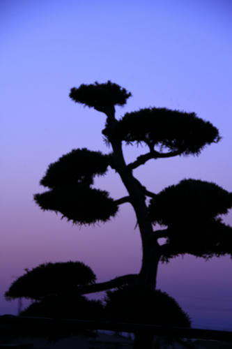 白色蛍光灯