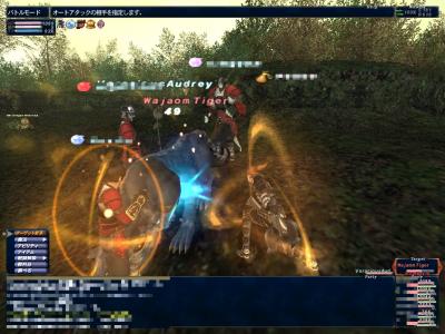 1月3日獣上げ５９−６１