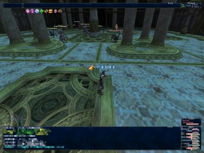 1月25日バフラウTOP