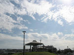 P1010022.jpg