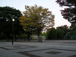 P1010016.jpg