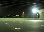 P1010017.jpg