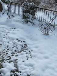 20120218a.jpg