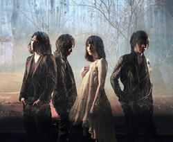 20120310a.jpg