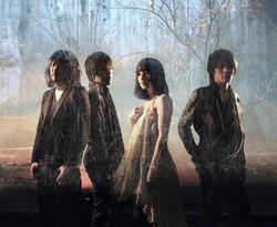 20120310b.jpg