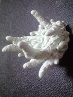 CA3A0543.JPG