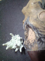 CA3A0541.JPG
