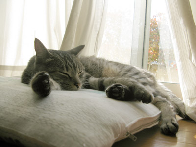 https://blog.cnobi.jp/v1/blog/user/cb2203561e412f26acda2a33f847c968/1228039710