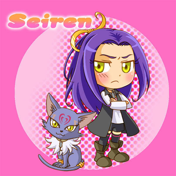 swt2.jpg