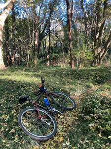 TREK8700と林の中