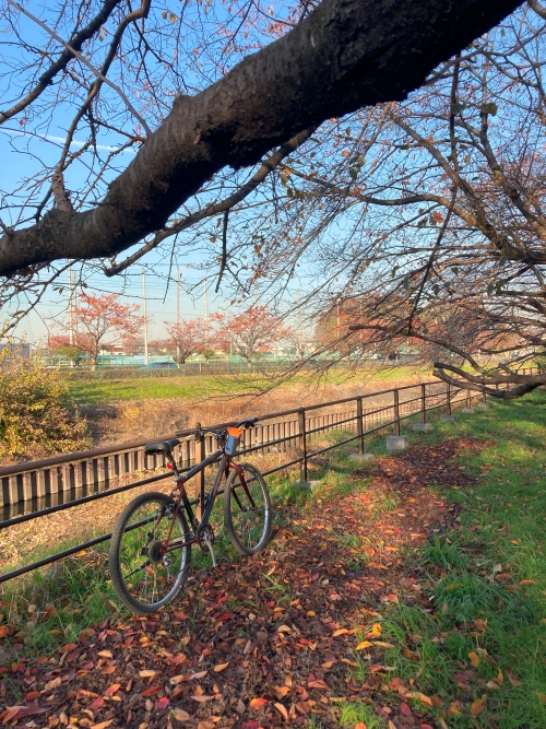 TREK8700と冬の散歩道