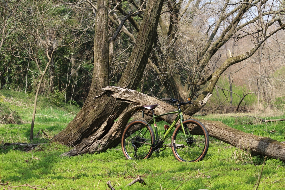 MERIDA ROAD TOURER 100グラベルロードで原生林っぽい林の中