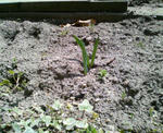 200804051200000.jpg