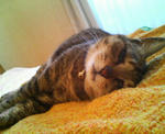 200806171820000.jpg
