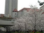 8141c35a.jpg