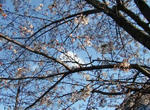 b648d4d8.jpg