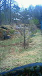 201105101118000.jpg