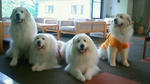 201105291032000.jpg