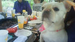 201106151517000.jpg