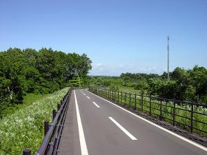 白石CR学習の森付近