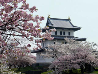 松前公園　松前城