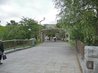 P1020460.jpg
