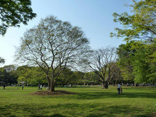 P1040144.jpg