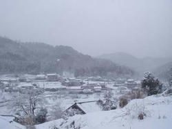 雪景色
