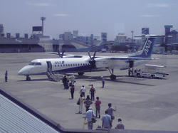ANA1667