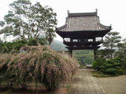 正暦寺山門