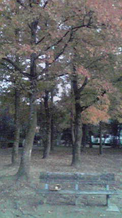 公園にて