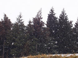 雪