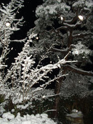 雪の夜