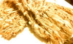 20071229230512.jpg