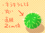 marimo.png