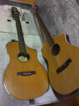 variaxacoustic700