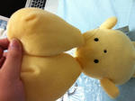 wooser2