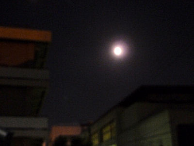 P1030855.JPG