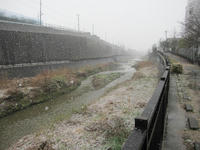 3月9日雪