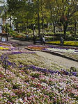 花の文化園
