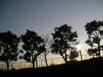 katama2b10430.jpg