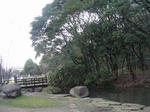 bcc1e160.jpg