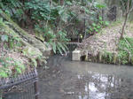 cb847779.jpg