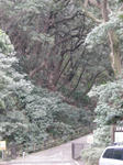 5c1294dd.jpg