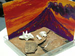 336d076e.jpg