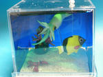 cd2c7403.jpg