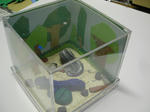 70cc4d80.jpg