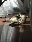 c6372fff.jpg