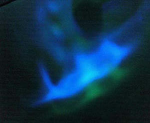 NEC_0294-.jpg