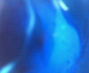 NEC_0328.JPG